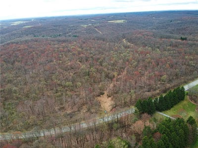 /international/us/000-state-route-168-south-beaver-twp-pa-110100341565/