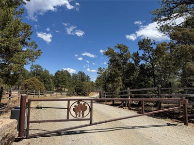 /international/us/17-wild-wings-circle-pecos-nm-110107664557/