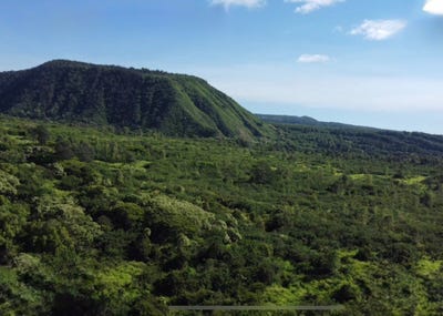 /international/us/hilea-rd-naalehu-hi-110100834204/
