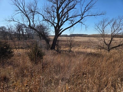 /international/us/36999-141st-lane-montgomery-mn-110104854788/