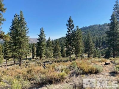 /international/us/3253-summit-camp-way-lot-c27-carson-city-nv-110108391618/