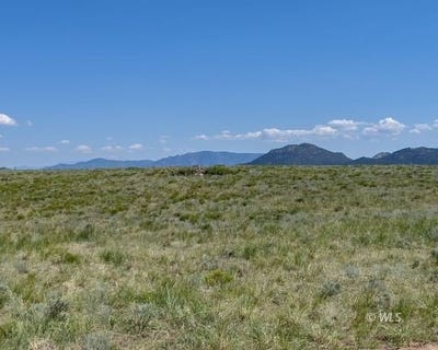 /international/us/tbd-county-road-251-westcliffe-co-110101121385/
