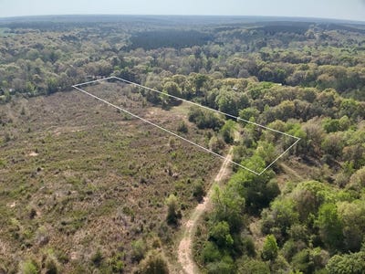 /international/us/5-650-acres-n-county-road-61-hartford-al-110106926475/