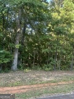 /international/us/223-brittany-lane-gray-ga-110110208027/