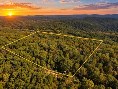 /international/us/forest-road-2539-belleview-mo-110110349423/