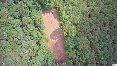 /international/us/6156-county-road-29-hamilton-al-110100454081/