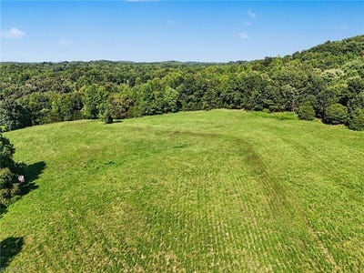 /international/us/3883-millikan-farm-road-franklinville-nc-110109999697/