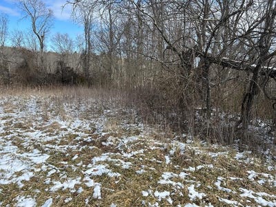 /international/us/chapman-road-lot-5-jamestown-tn-110096944397/