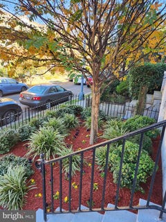 /international/us/1530-spring-place-nw-washington-dc-110101330773/?lang=zh-cn