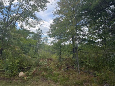 /international/us/cator-dr-lot-9-minocqua-wi-110110324761/