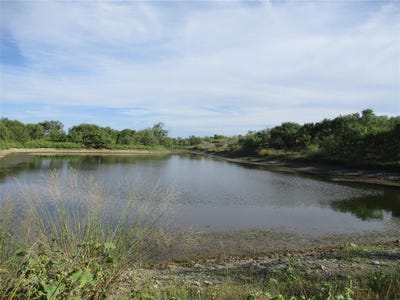 /international/us/tbd-cr-467-cr-467-no-city-tx-110102267544/