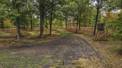 /international/us/1231-manor-road-au-gres-mi-110102282410/