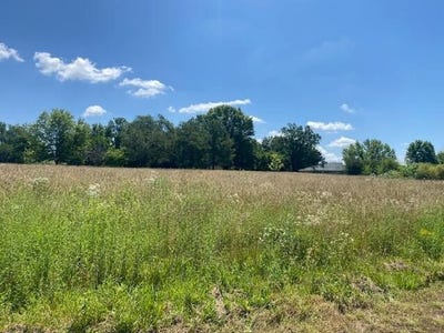 /international/us/1-07-acres-n-orchard-boulevard-fair-grove-mo-110100311748/?lang=en