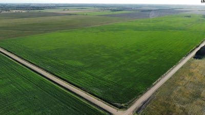 /international/us/sw-96th-st-burrton-ks-110108032145/