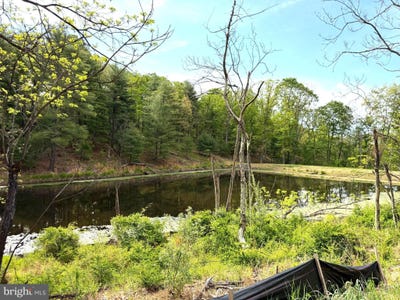 /international/us/crested-mountain-lane-lot-1-cross-junction-va-110108023013/