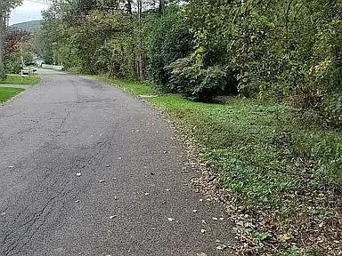 /international/us/60-wisconsin-drive-binghamton-ny-110101314587/