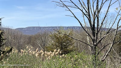 /international/us/241-route-208-new-paltz-ny-110100480843/
