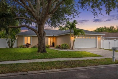 /international/us/870-16th-lane-palm-harbor-fl-110107821517/
