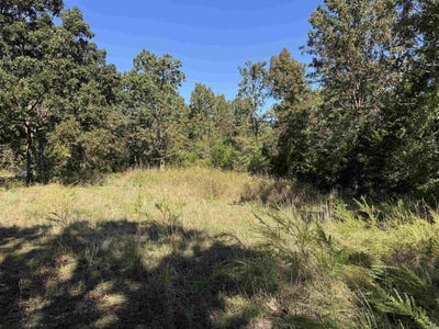 /international/us/919-country-spring-road-salem-ar-110102519293/
