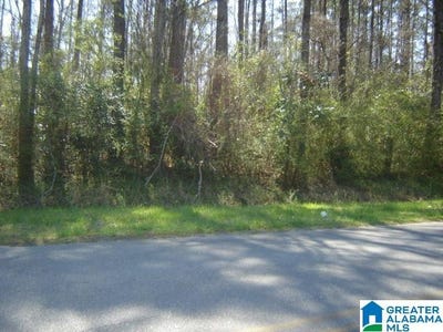 /international/us/00-s-7th-street-clanton-al-110082020962/?lang=zh-cn