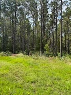/international/us/228-private-rd-8010-pineland-tx-110105931213/