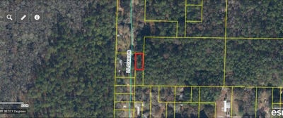 /international/us/lil-dixie-drive-sanderson-fl-110104604713/