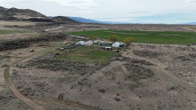 /international/us/0-oregon-trail-bancroft-id-110106028893/