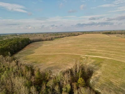 /international/us/2-county-road-3324-brundidge-al-110104929377/