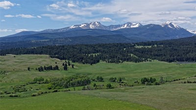 /international/us/nhn-lot-10-willow-creek-loop-road-deer-lodge-mt-110101362637/?lang=fr