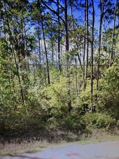 /international/us/2184-laure-avenue-other-florida-fl-110108468563/