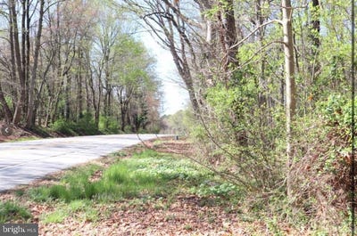 /international/us/fairlee-road-chestertown-md-110099593366/?lang=zh-tw