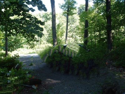 /international/us/223-larchwood-lane-laurens-ny-110092004470/?lang=zh-tw