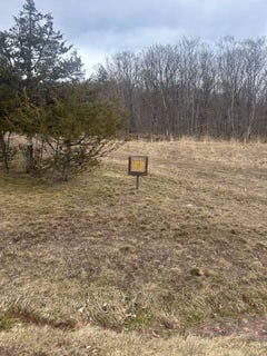 /international/us/339-overlook-dr-lexington-ny-110106804357/