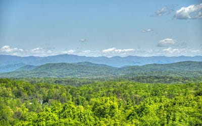 /international/us/319-chicory-drive-blairsville-ga-110101122367/?lang=zh-tw