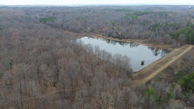 /international/us/greenfield-harrisburg-ar-110104517418/