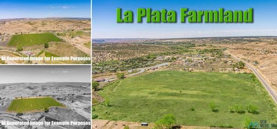 /international/us/920-nm-170-farmington-nm-110108170801/