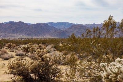 /international/us/0-appian-way-joshua-tree-ca-110107283613/