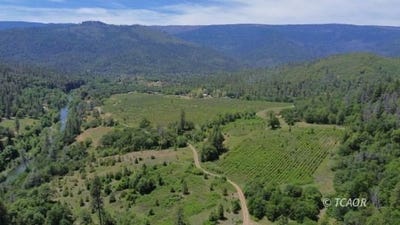 /international/us/321-olsen-creek-rd-hyampom-ca-110100821774/