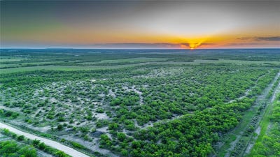 /international/us/2367-county-road-311-gouldbusk-tx-110100133042/