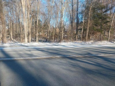 /international/us/142nd-avenue-lot-a-b-dorr-mi-110104904917/
