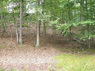/international/us/dover-dr-lot-837-bushkill-pa-110093532665/