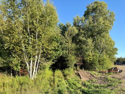 /international/us/60ac-on-hwy-107-tomahawk-wi-110110188109/