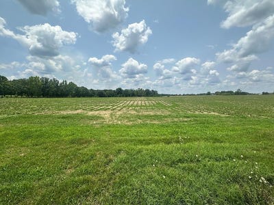 /international/us/10-acres-lot-4-j-saunders-dothan-al-110099901466/