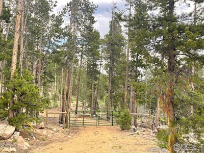 /international/us/1374-jicarilla-trl-red-feather-lakes-co-110098785217/