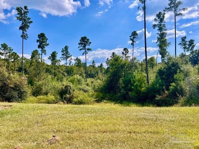 /international/us/morgans-branch-lot-31-molino-fl-110102658926/