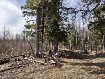 /international/us/tbd-off-ohman-road-l-anse-mi-110101858071/