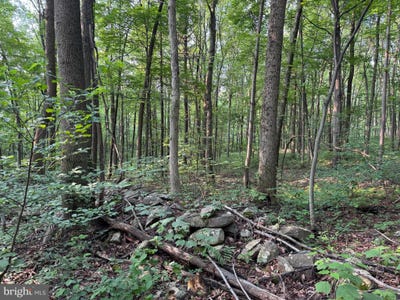 /international/us/5-5-acres-mountain-green-road-willow-hill-pa-110100255188/?lang=zh-tw