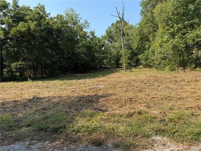 /international/us/spring-avenue-lot-15-25-sulphur-springs-ar-110102071535/