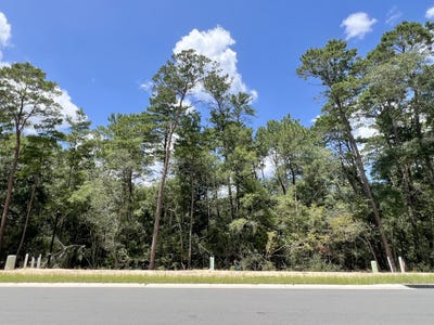 /international/us/249-foxglove-run-niceville-fl-110101141144/?lang=zh-cn