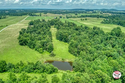 /international/us/22-twyford-point-rd-140-don-gregory-rd-monticello-ky-110101071826/?lang=zh-cn